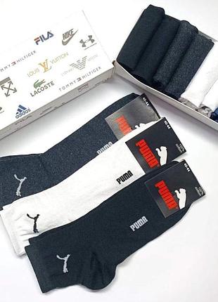 Носки, носки мужские puma -набор 12 пар в коробке