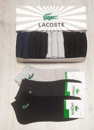Носки, носки мужские lacoste -набор 12 пар в коробке