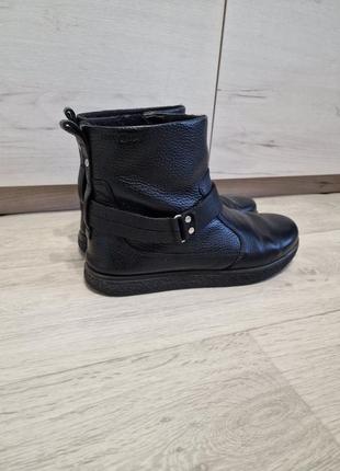 Ecco