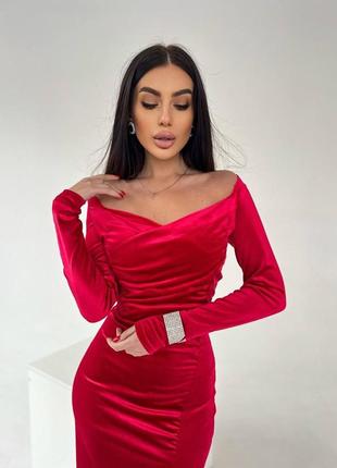 Оксамитова сукня 3