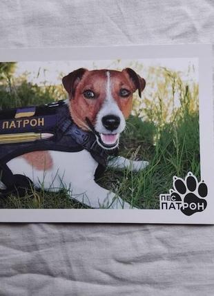 Открытка пес патрон