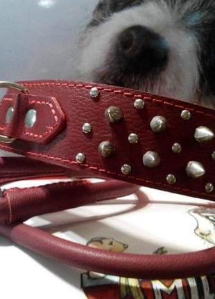 Нашийники для собак з шипами