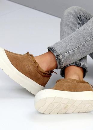 Женские стильные короткие угги - автоледи 🔝🔥🔝