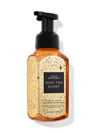 Парфумоване мило-пінка для рук bath and body works into the night