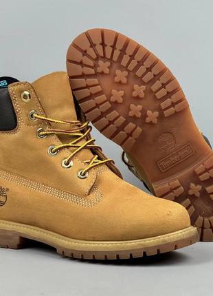 Черевики timberland primaloft ботинки тімберленд сапоги обувь тимбы