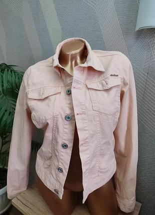 Гарний котоновий піджак