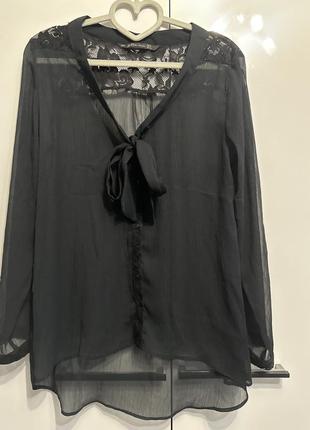 Нежная шифоновая блуза от zara trafaluk