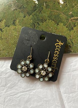 Новые серьги accesorize