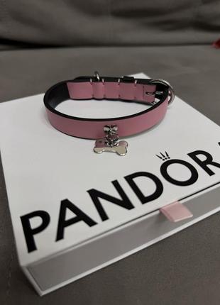 Нашийник pandora