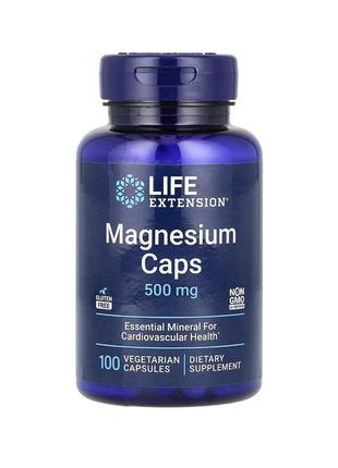 Life extension капсулы с магнием, 100 капсул