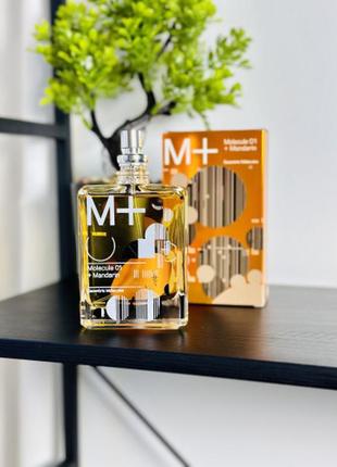 Escentric molecules molecule 01 + mandarin 100 мл