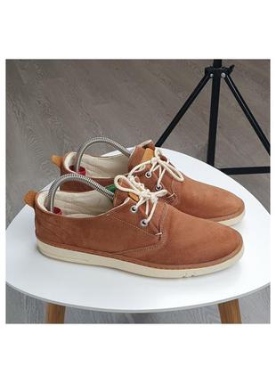 Туфлі timberland