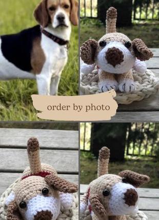 На замовлення пес звʼязаний з фото собака мʼяка