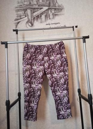 Спортивні легінси бріджи