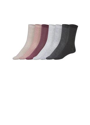 Шкарпетки esmara німеччина