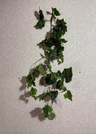 Зелень, оздоблення, декор, штучна зелень