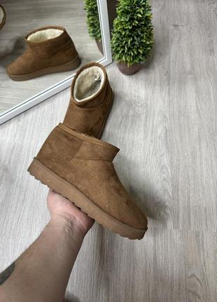 Женские ugg 2