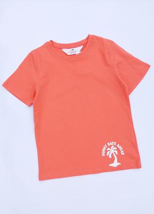 Футболка h&m для хлопчика