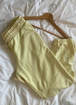 Спортивные штаны, спортивки, джоггеры puma (оригинал)