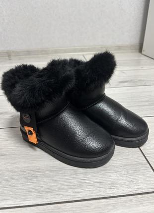 Угги, сапоги