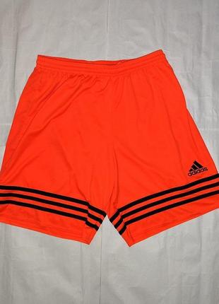 Шорты adidas