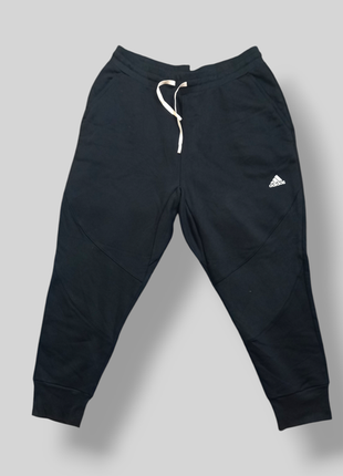 Спортивные штаны adidas xl полномерные утепленные