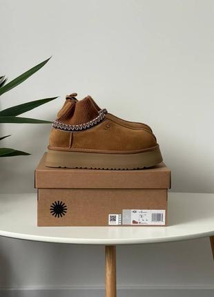 Женские угги ugg tasman platform sock chestnut