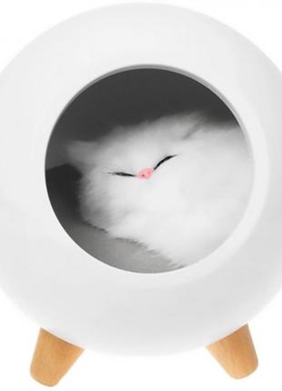 Ночник led светильник спящий кот в домике белый+подарок