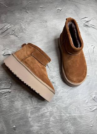 Удобные и теплые женские укороченные угги натуральная замша на платформе 8/11