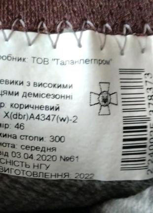 Берці талан talan3 фото
