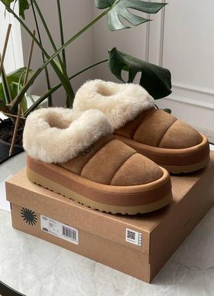 Женские ботинки ugg tazzlita chestnut