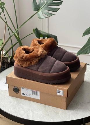 Женские ботинки ugg tazzlita hardwood