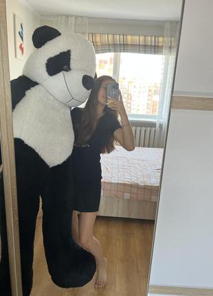 Медведь панда