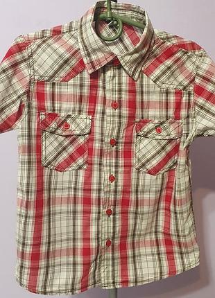 Сорочка у клітинку смужку на хлопчика на короткий рукав стильна котонова