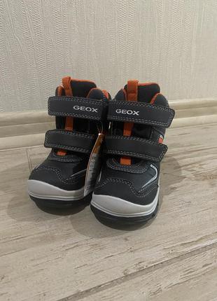 Детские сапоги geox