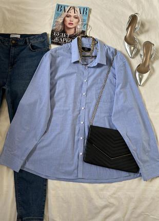 Идеальный базовый look7 фото