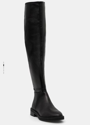 Сапоги женские большого размера steve madden