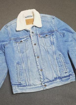 Шерпа levis