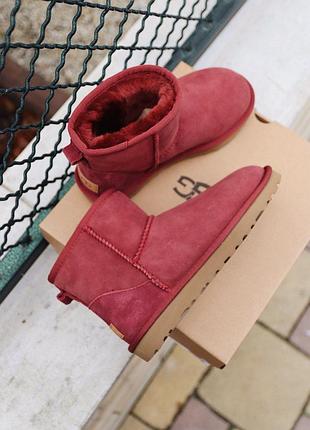 Ugg mini cherry ugg чоботи уггі 5
