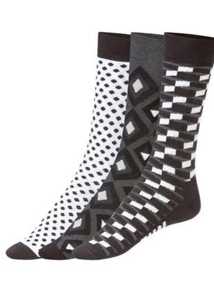 Fun socks кольорові шкарпетки 3 пари