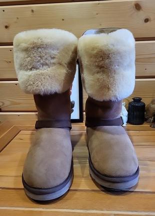 Сапоги ugg5 фото