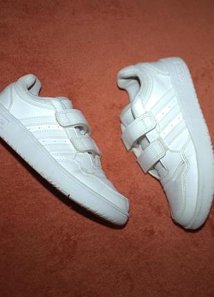Кросівки фірми adidas 32 розміру за устілкою 20,5 см.