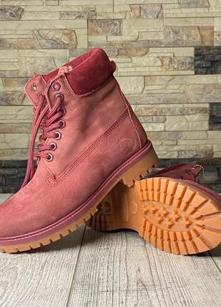 Женские кожаные бордовые ботинки на овчине timerland 6-inch4 фото