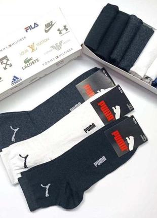 Носки, носки мужские puma -набор 12 пар в коробке