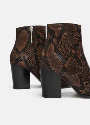 Женские сапоги казаки zara