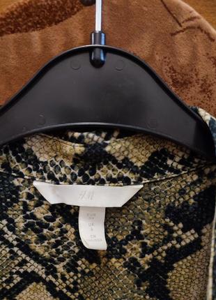 Блуза змеиный принт2 фото