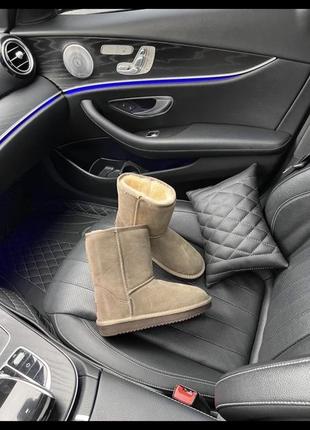 Baley beige
