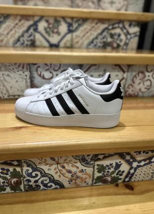 Аdidas superstar