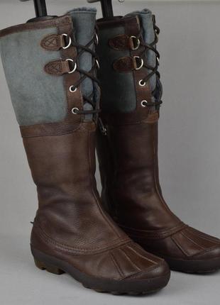 Ugg belcloud waterproof сапоги женские зимние кожа мех овчина цигейка. оригинал. 36-37 р./23.5 см.