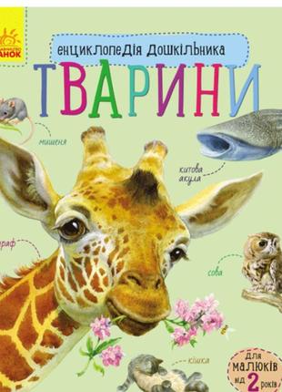 🦒енциклопедія дитяча🦒